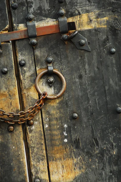 Secure wooden doors #1 — Stock Photo, Image