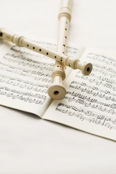 stock image Flutes over musical notes