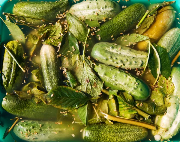 Солений огірок — стокове фото