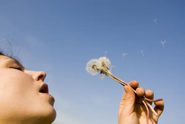 stock image Blowing the dandellion