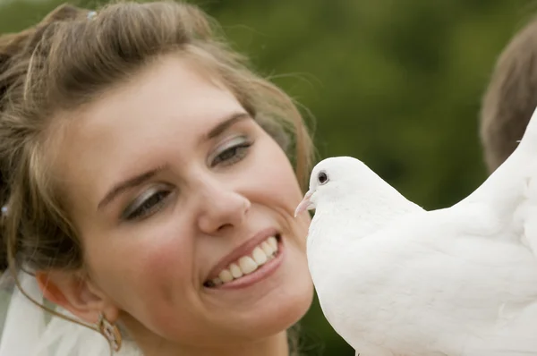 Nevěsta s bílou holubicí — Stock fotografie