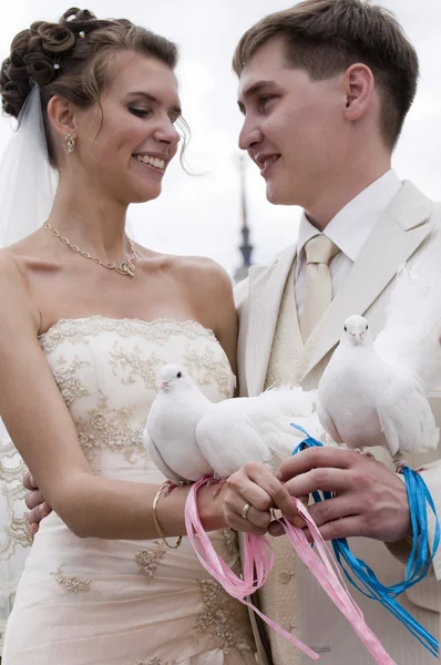 Young newlyweds — Stock Photo, Image