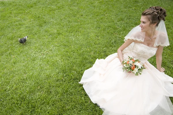 Giovane sposa su un'erba con piccione — Foto Stock