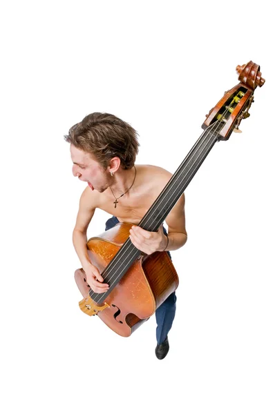 Bass viol pelaaja valkoisella taustalla — kuvapankkivalokuva