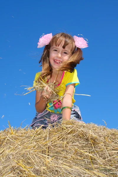 stock image The girl on straw