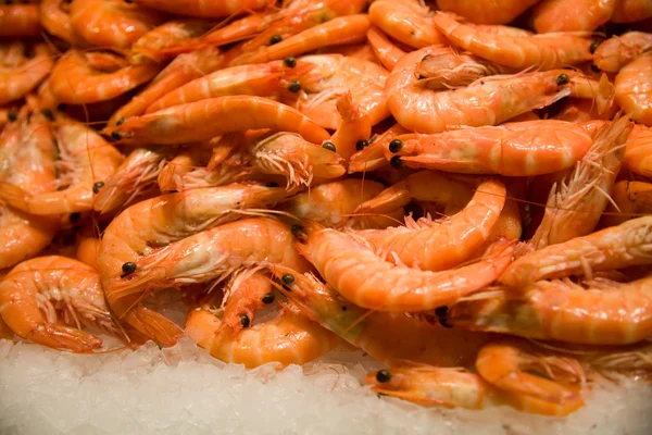 stock image Fresh shrimp