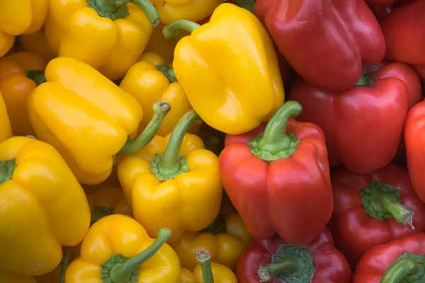 Red and yellow pepper vegetables — Stock Photo, Image