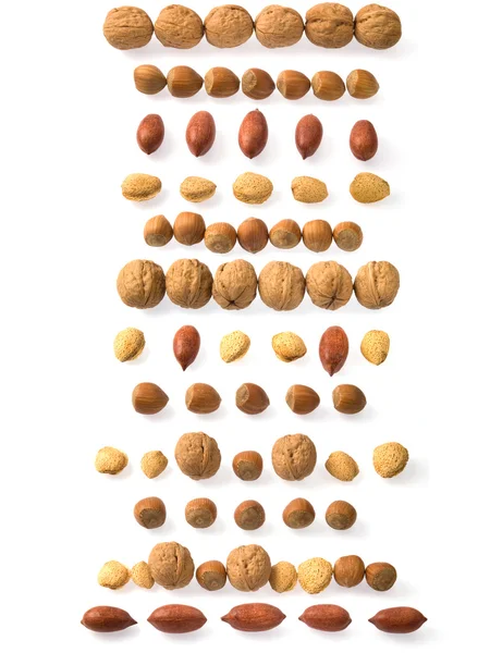 Nuts strips — Stock Photo, Image