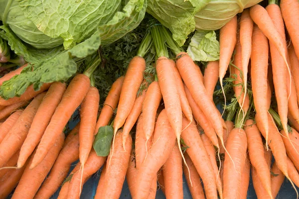 Zanahorias y lechuga —  Fotos de Stock