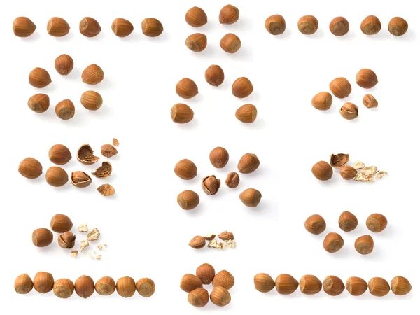Hazelnuts collection — Stock Photo, Image