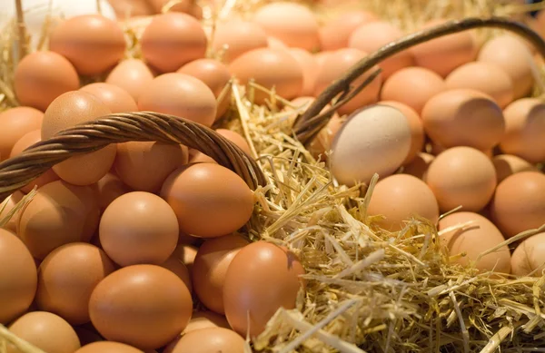 Яйца в корзинах — стоковое фото