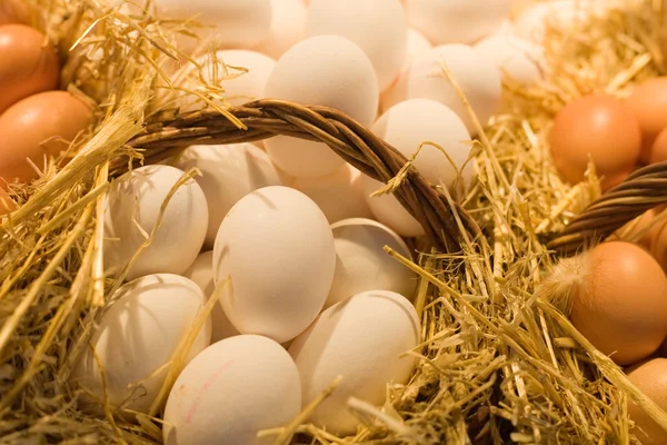 Яйца в соломе — стоковое фото