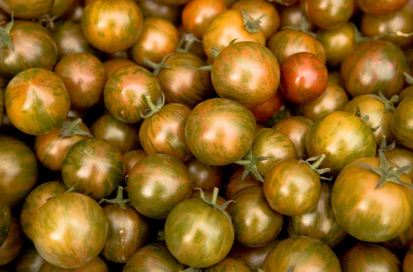 Tomates Tigerella — Fotografia de Stock