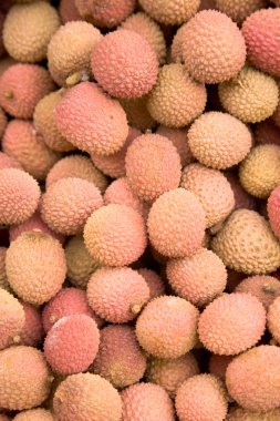 Litchies