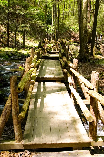 stock image Narrow wooden bridge in the park