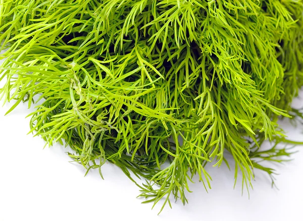 Fresh herb green dill over white — Stock Photo, Image