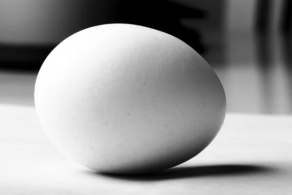 Uovo di contorno bianco e nero con ombra Foto Stock Royalty Free