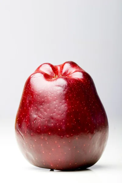 Glänzend roter köstlicher Apfel — Stockfoto
