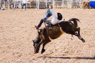 Bareback riding clipart