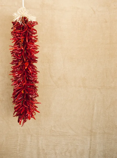 stock image Red chile ristras