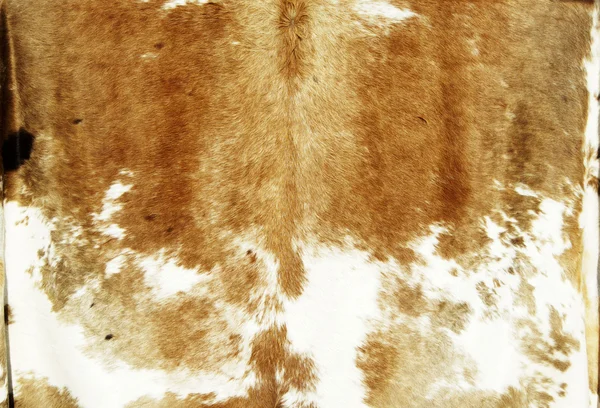 Cowhide — Stock Photo, Image