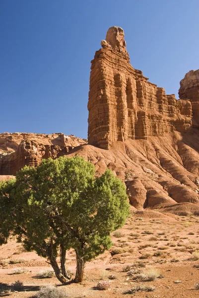 stock image Chimney Rock