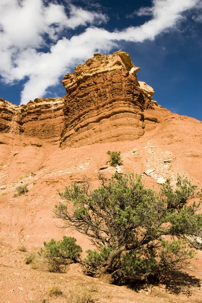 Capital Reef sandstone formations — Stock Photo, Image