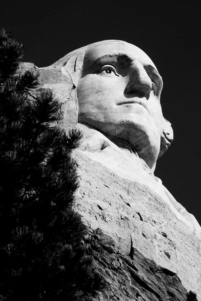 ジョージ ・ ワシントン — ストック写真