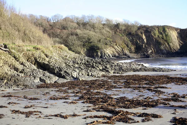 Polridmouth Beach