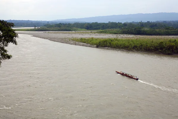 아마존 강 로열티 프리 스톡 이미지