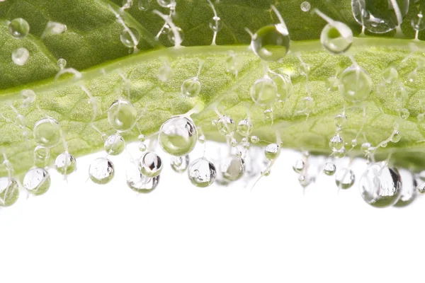 Droplets detail on leaf — Stock Photo, Image
