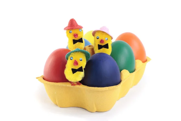 Ovos de Páscoa e pintos na caixa — Fotografia de Stock