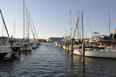 Boats in Chesapeake Bay clipart