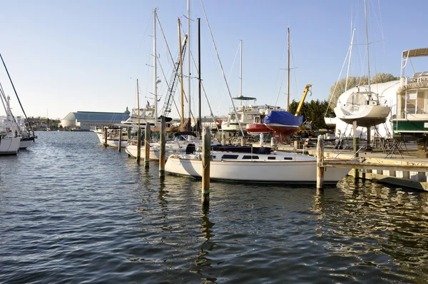 Båtar i chesapeake bay — Stockfoto