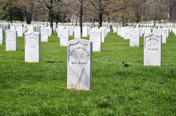 Arlingtonkyrkogården — Stockfoto