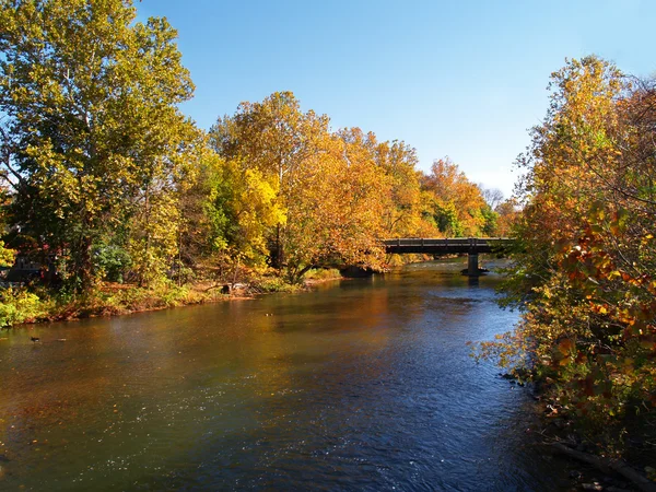 Река и деревья осенью — стоковое фото