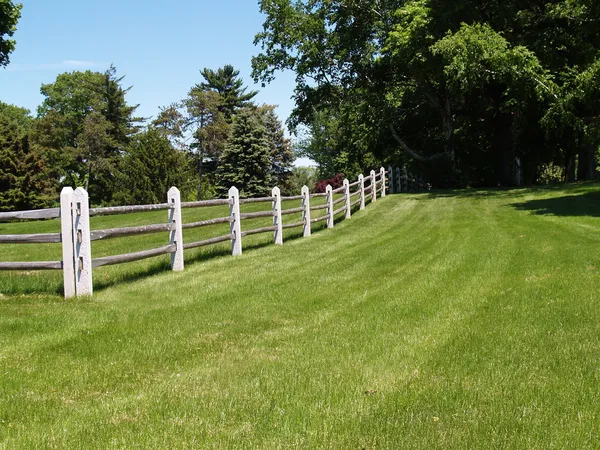Расколотый забор из дерева у поля — стоковое фото