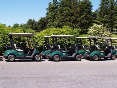 Row of golf carts clipart