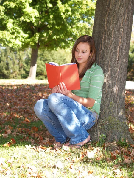 stock image Teenage girl reading a book