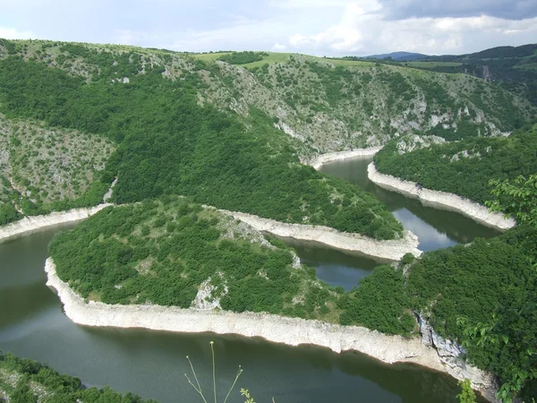 stock image River meanders