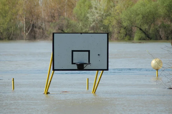 Basket-ball, sport — Photo