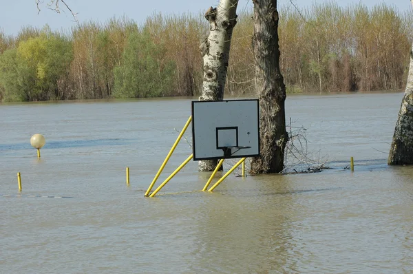 Basketball, sports, board, — Stock Photo, Image