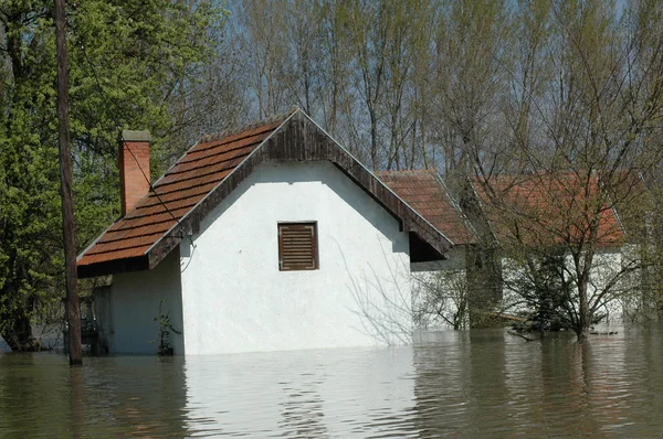 Inundații, râu, dezastru, uragan, acoperiș , — Fotografie, imagine de stoc