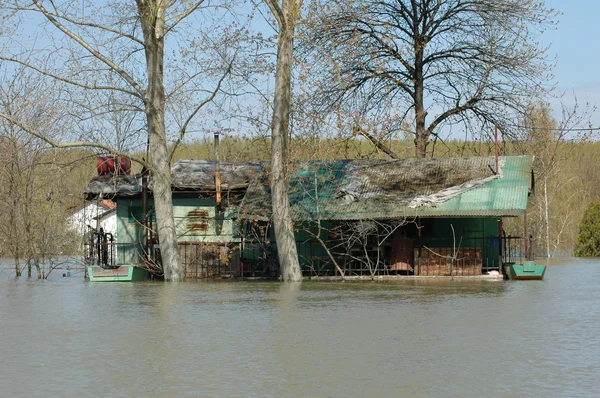 Flood, river, disaster, hurricane, roof, — Stock Photo, Image