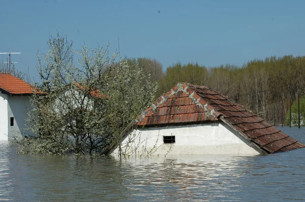 Hochwasser, Fluss, Katastrophe, Hurrikan, Dach, — Stockfoto