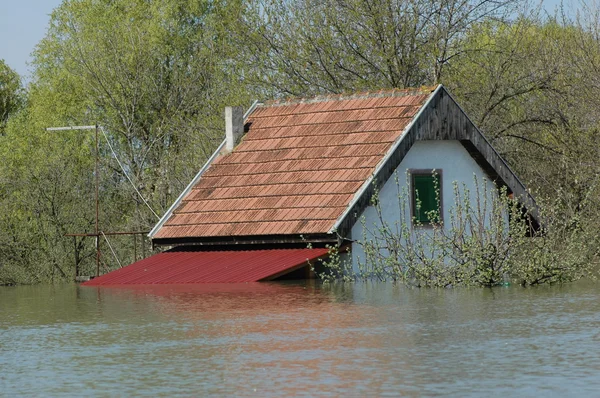 Inondation, rivière, catastrophe, ouragan, toit , — Photo