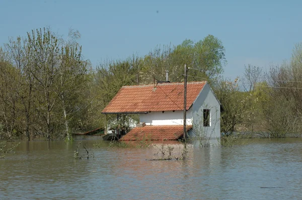 Powódź, rzeki, katastrofy, huragan, dach, — Zdjęcie stockowe