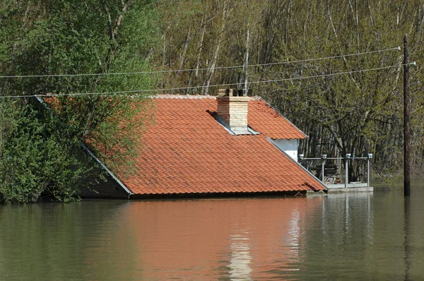 Inundação, rio, desastre, furacão, telhado , — Fotografia de Stock