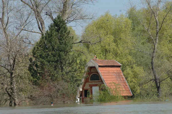 Flood, river, disaster, hurricane, roof, — Stock Photo, Image