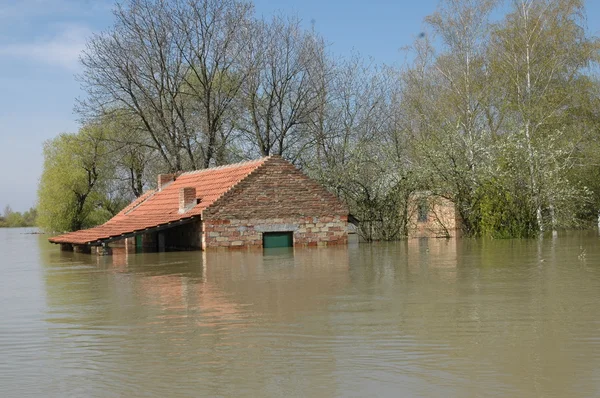 洪水、 河流、 灾难、 飓风、 屋顶, — 图库照片